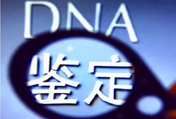 贵州省第一人民医院能做DNA亲子鉴定吗_[免费咨询]，医院做血缘检测详细流程