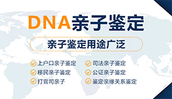 贵州省正规司法DNA鉴定中心去哪里，贵州省司法亲子鉴定收费是多少