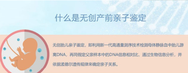 贵州省父亲与胎儿需要如何做亲子鉴定,贵州省无创孕期亲子鉴定多少钱